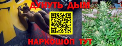 apvp Канаш